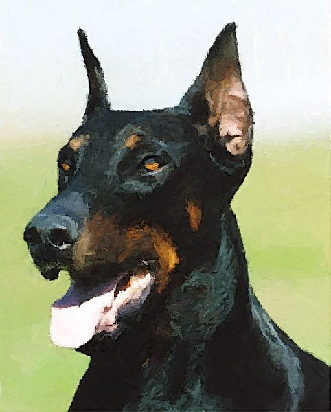 .Hand Painted Effect Doberman Set - 14 Pages